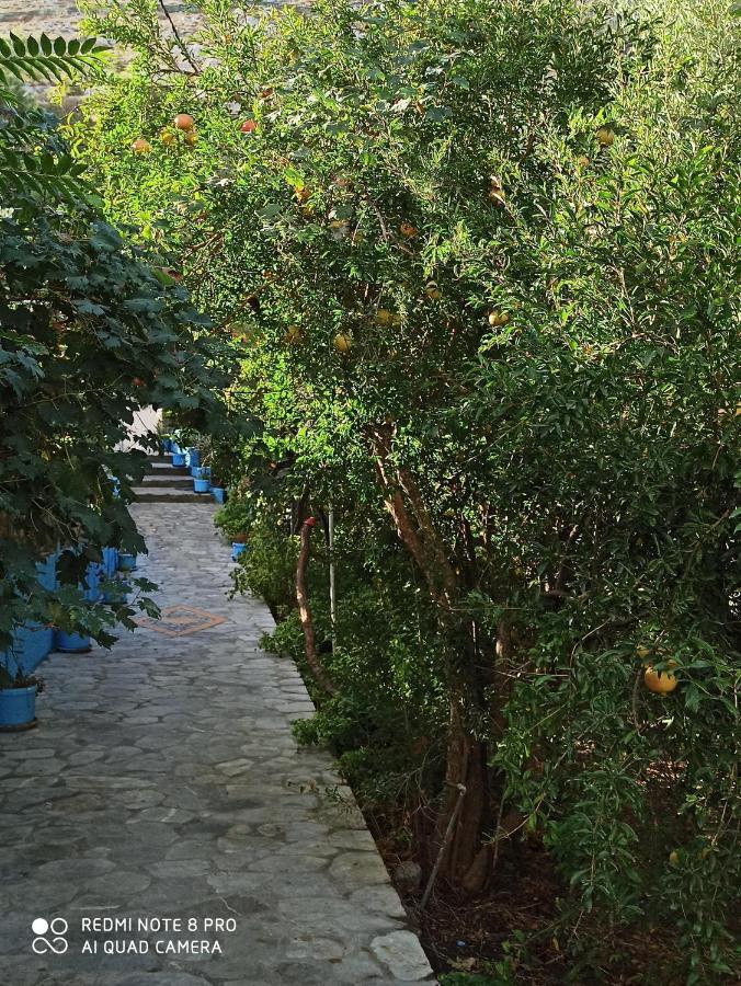 Giannis Apartments By Climbing House Panormos (Kalymnos) Exterior foto